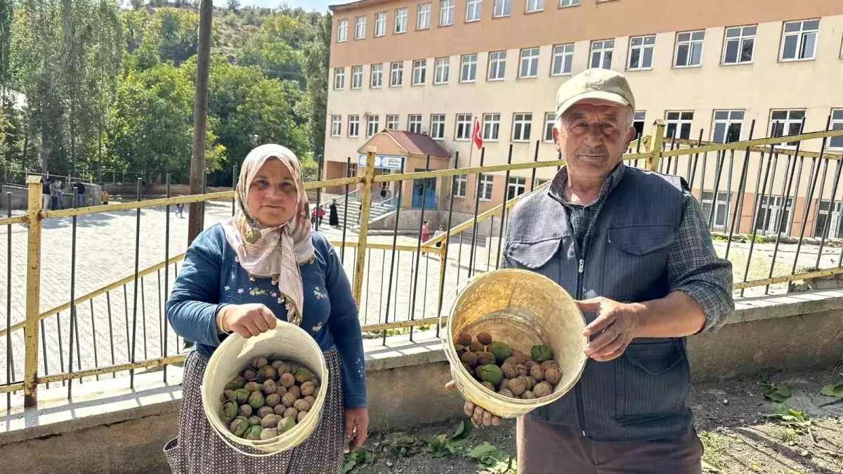 Karaköm Çiftliği Öğrencilere Ücretsiz Ceviz İkram Ediyor